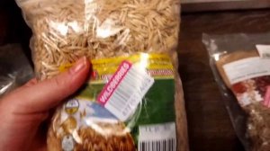 Покупки/траты на крыс за февраль #моилюбимки #листиккексикмишутка #крысы #твимз #животные #ratslove