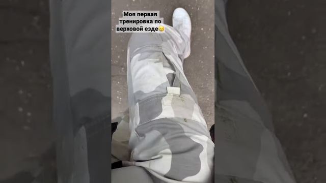 Первая тренировка по верховой езде смотреть онлайн