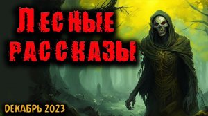 ЛЕСНЫЕ РАССКАЗЫ | Страшные истории
