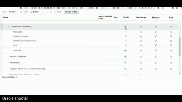 Oracle Fusion 37: What is Offerings , Options and Implementation Project in fusion смотреть онлайн