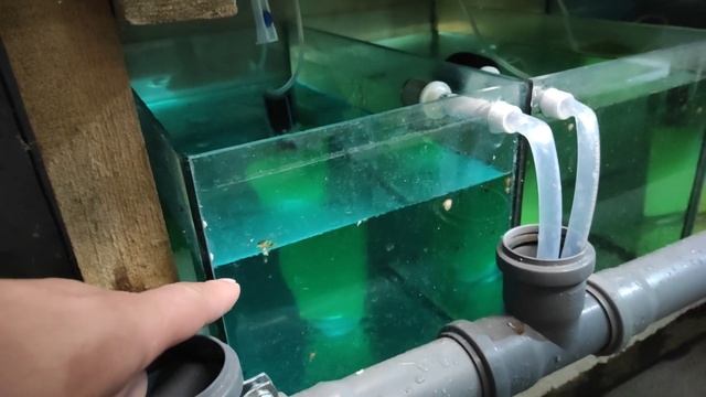 С фильтрами надо работать аккуратно... смотреть онлайн