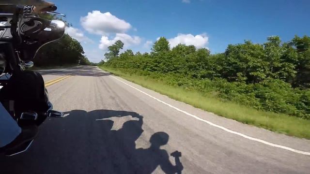 Fender Bunny Channel Intro смотреть онлайн