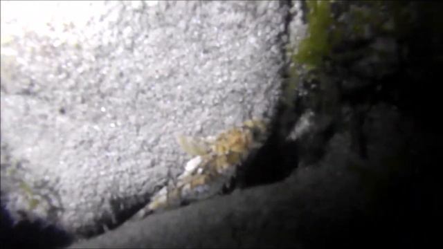 Черное море под водой ночь смотреть онлайн