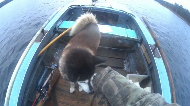 Рыбалка на озере. Октябрь. смотреть онлайн