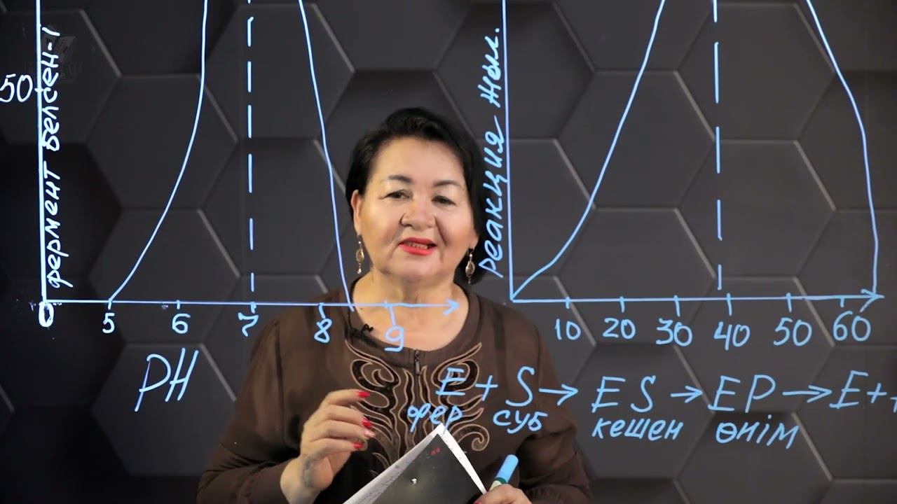 Ферменттер белсенділігіне әсер ететін факторлар мен жағдайлар. 10 сынып. смотреть онлайн