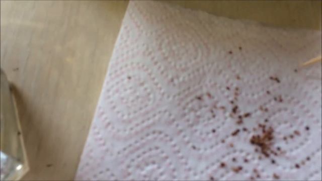 СЕЕМ ЗЕМЛЯНИКУ НА РАССАДУ смотреть онлайн