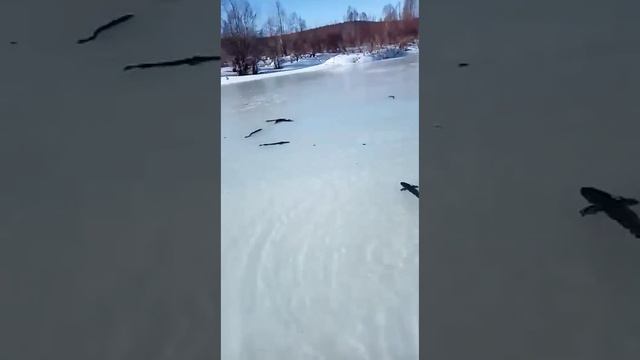 На реке Урал, on the Ural river 28 февраля 2023 г. смотреть онлайн