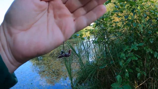 За Осіннім Лином. Рибалка у Вікнах На Поплавок смотреть онлайн