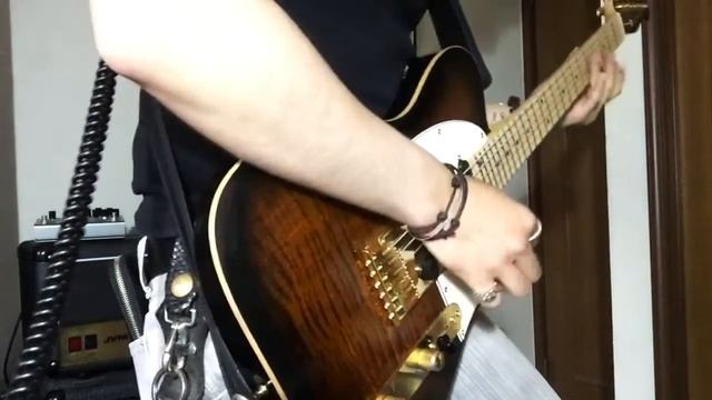 挑戦 Into The Arena / Michael Schenker смотреть онлайн