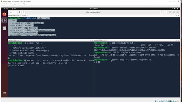 Install OpenZiti and Protect a Web Server Overview смотреть онлайн