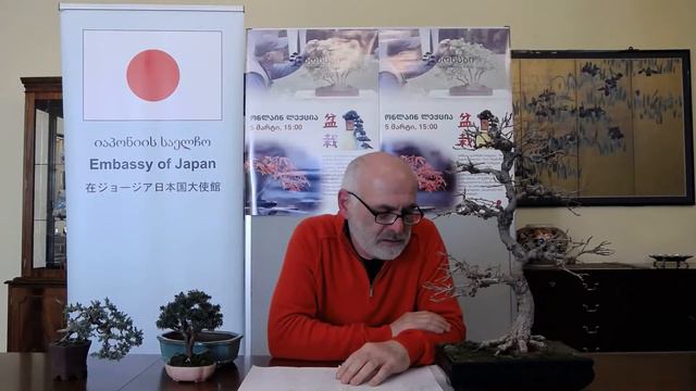 Bonsai Online Lecture смотреть онлайн