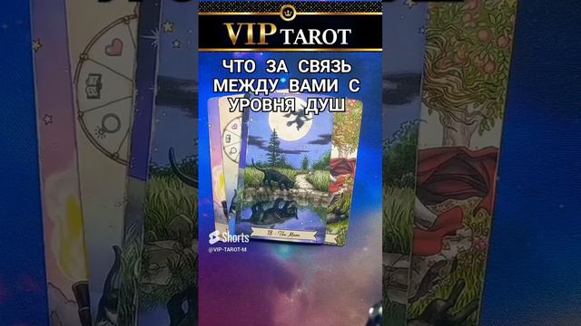 🔗 ЧТО ЗА СВЯЗЬ МЕЖДУ ВАМИ С УРОВНЯ ВАШИХ ДУШ 🌹 таро для мужчин гадание онлайн смотреть онлайн