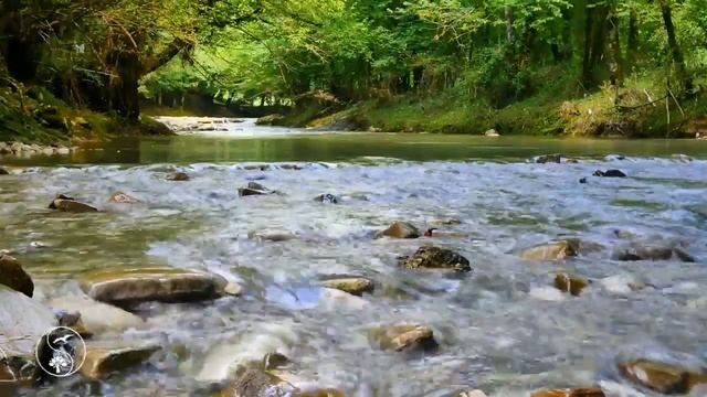 Учимся входить в осознанные сны смотреть онлайн