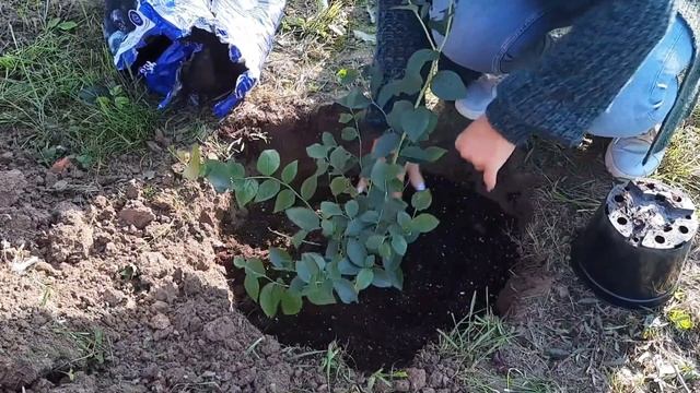 Готовка на Открытом Воздухе