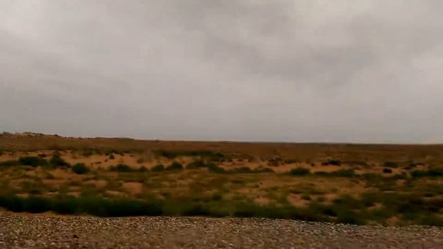 А ПУСТЫНЯ ТО ЗЕЛЕНЕЕТ ПОСЛЕ ЛИВНЕЙ В КАЛМЫКИИ смотреть онлайн