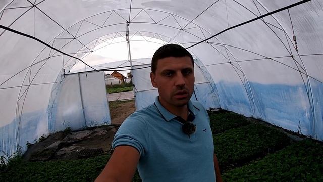 Секрет касетної розсади полуниці смотреть онлайн