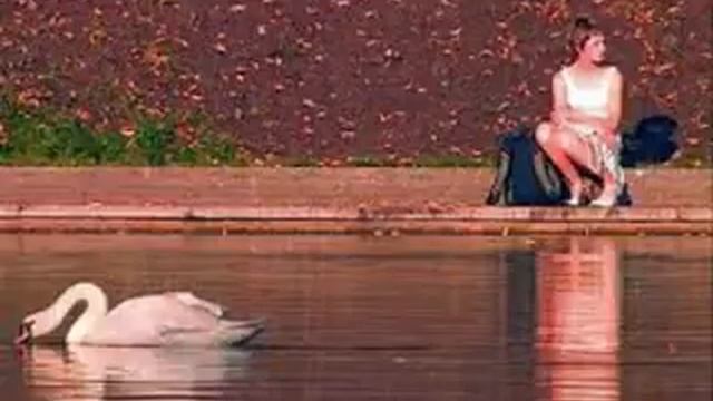 Читает Александр Маршак смотреть онлайн