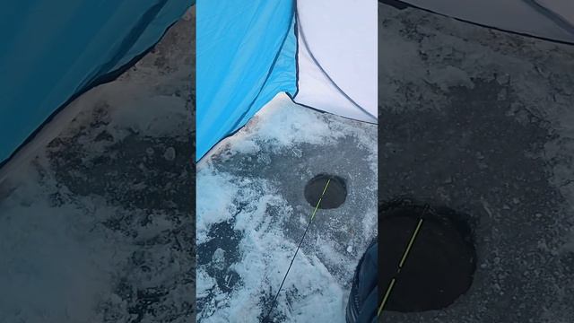 ловим на сурском в пензе смотреть онлайн