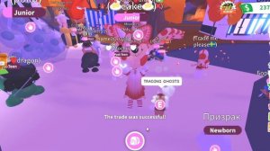 АДОПТ МИ С НУЛЯ! 1 ЧАСТЬ. ПРОКАЧКА ИНВЕНТАРЯ. КАК ПРОКАЧАТЬСЯ В АДОПТ МИ?