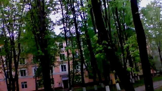 Маленький вороненок, вывалившийся из гнезда смотреть онлайн