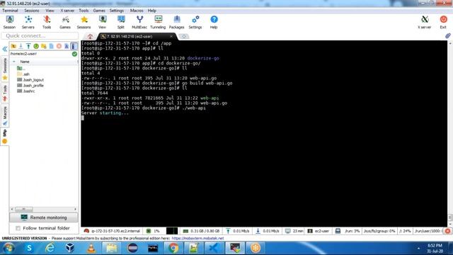 Devops | Docker Tutorial | Dockerize your Go (golang) App | Building Docker Containers for Go Apps смотреть онлайн