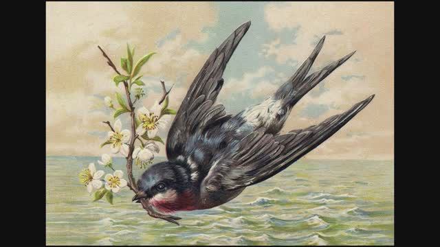 Ласточка. Борис Заходер. смотреть онлайн