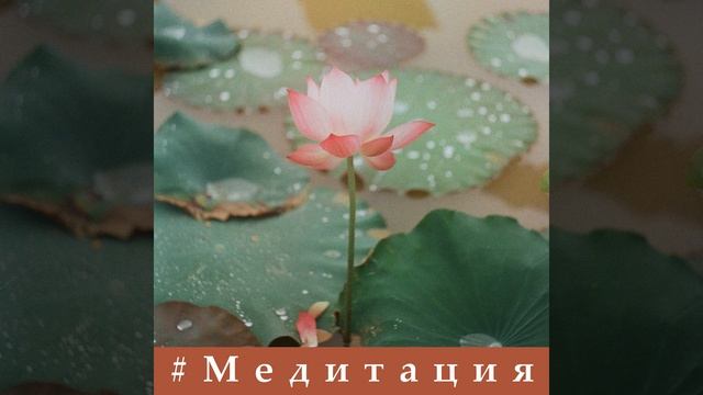 Прикосновение медитации смотреть онлайн