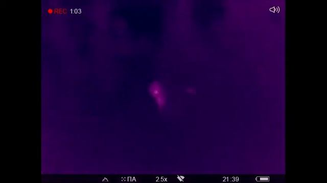 7 заяц и крышка обьектива смотреть онлайн