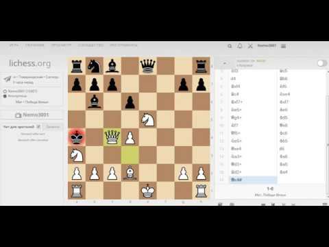 Шахматы, принятый королевский гамбит, ошибки черных, 4 декабря 2018 года