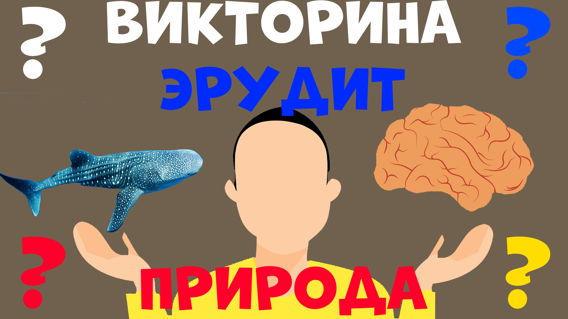 Викторина Эрудит. Природа