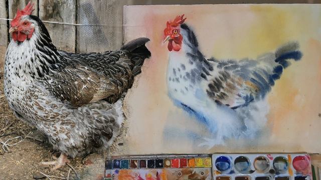 Акварельный этюд "Курочка"// Watercolor sketch " chicken" смотреть онлайн