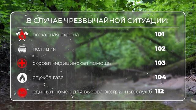 Телефоны экстренных служб смотреть онлайн