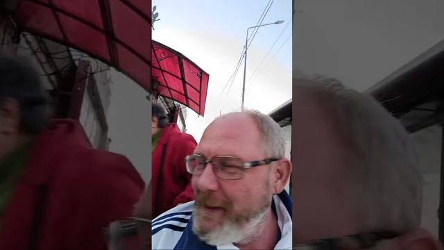 ЖГИ на прогулке