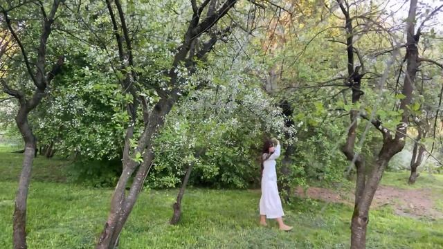 Невероятно трогательный кавер "Вишня". Светлой памяти Максима Куста посвящается... смотреть онлайн