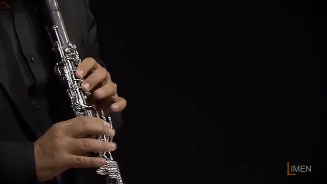 Romanza di Nunzio Ortolano | Giuseppe Scigliano accordion and Francesco Giardino clarinet смотреть онлайн