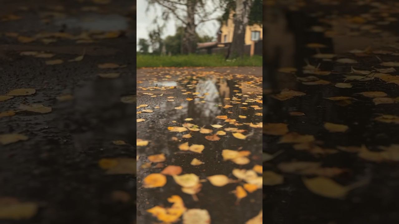 Осень в июле … #bashkortostan #башкирия #деревня #лето2024 смотреть онлайн