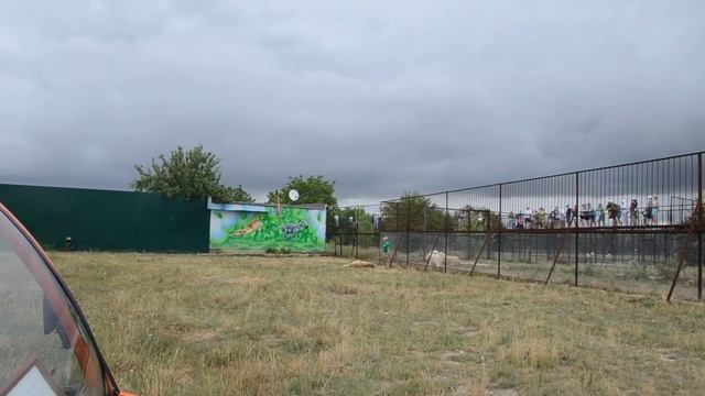 Лев Филя знакомится с Сережей Друзьяк и другими ! Крым .Тайган. смотреть онлайн