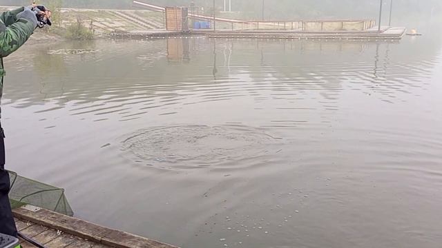 Утренние поимки смотреть онлайн