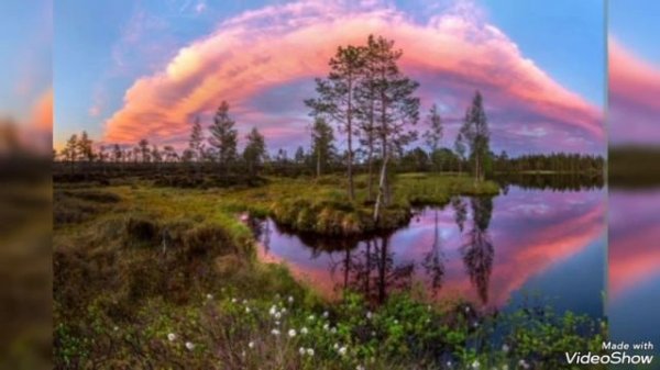 ...матери... русские матери... Ольга Воронец...