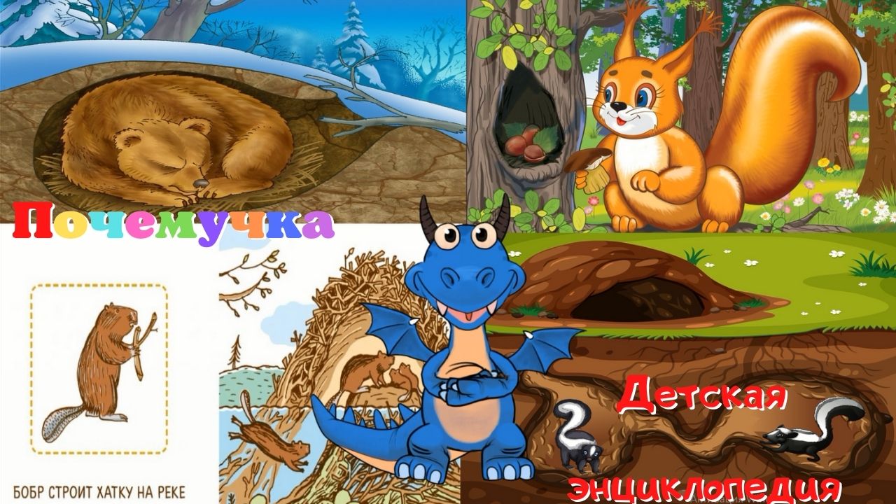 0+ Какие бывают домики животных? Почемучка. Детская энциклопедия. смотреть онлайн