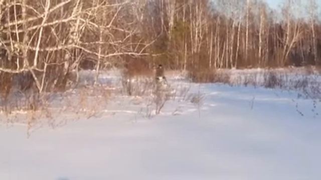 На буране по пухляку смотреть онлайн