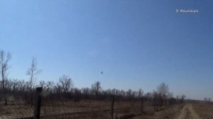 Светозар - Мне бы лететь бы..