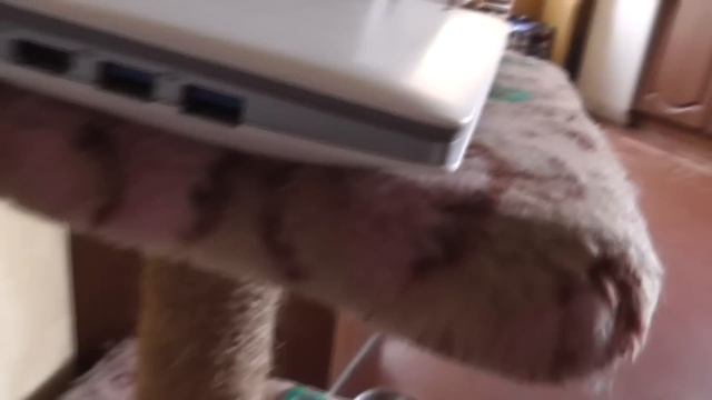 Домовенок Ремонтович