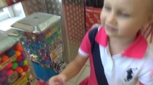 Кошка Мили Ванили на стрижке ! How cats are groomed