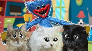 Случилась БЕДА!  Хаги Ваги Просит ПОМОЩИ!!!