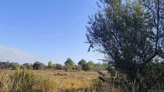 1 ноября народный праздник Иванов день Народные приметы и традиции. Запреты дня. Именинники дня. смотреть онлайн