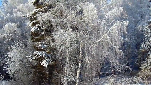 Зимний лес Природа одарила! Иней стих Л.Пятилетовой. Иней видео под музыку С.Аверьянова смотреть онлайн