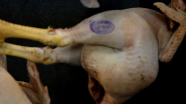 Как проверить курицу смотреть онлайн