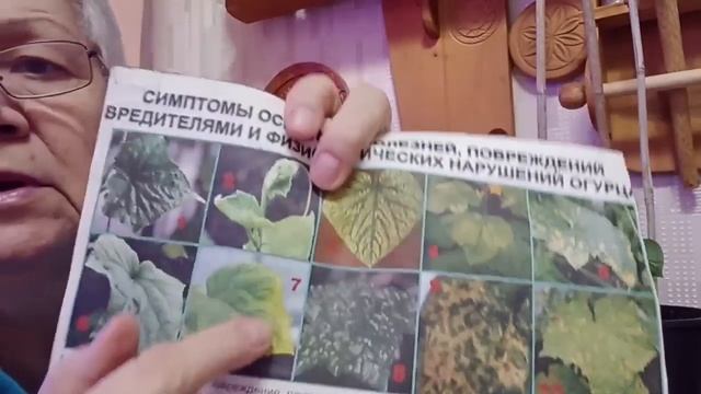 754. Все болезни огурцов. 30 цветных фото. смотреть онлайн