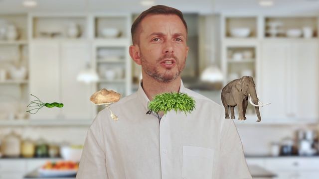 Po co mi woda? - Nauka. To lubię. смотреть онлайн